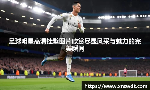 BB贝博艾弗森体育